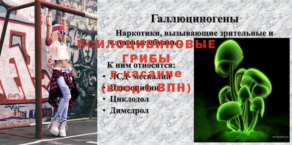 ALPHA PVP Надым