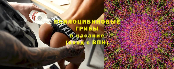 крисы Нефтекумск