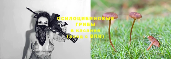 ALPHA PVP Надым